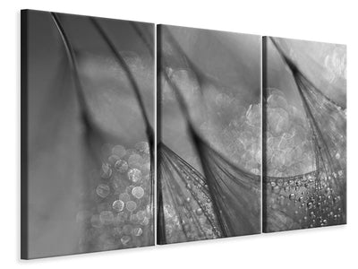 3-piece-canvas-print-untitled-xix