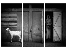 3-piece-canvas-print-untitled-xxvii