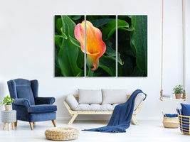 3-piece-canvas-print-wild-calla