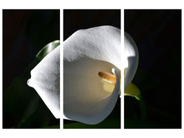 3-piece-canvas-print-wonderful-calla