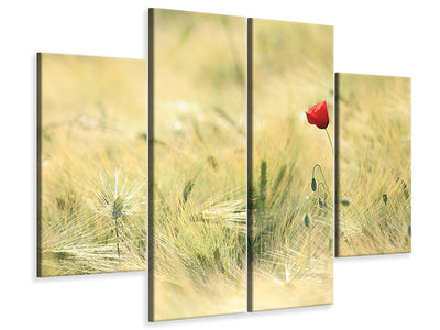 4-piece-canvas-print-a-poppy