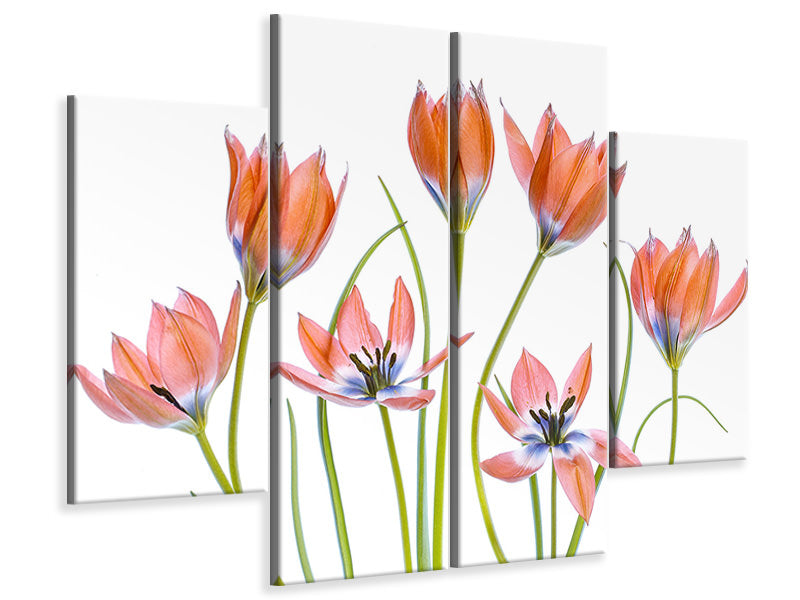 4-piece-canvas-print-apricot-tulips