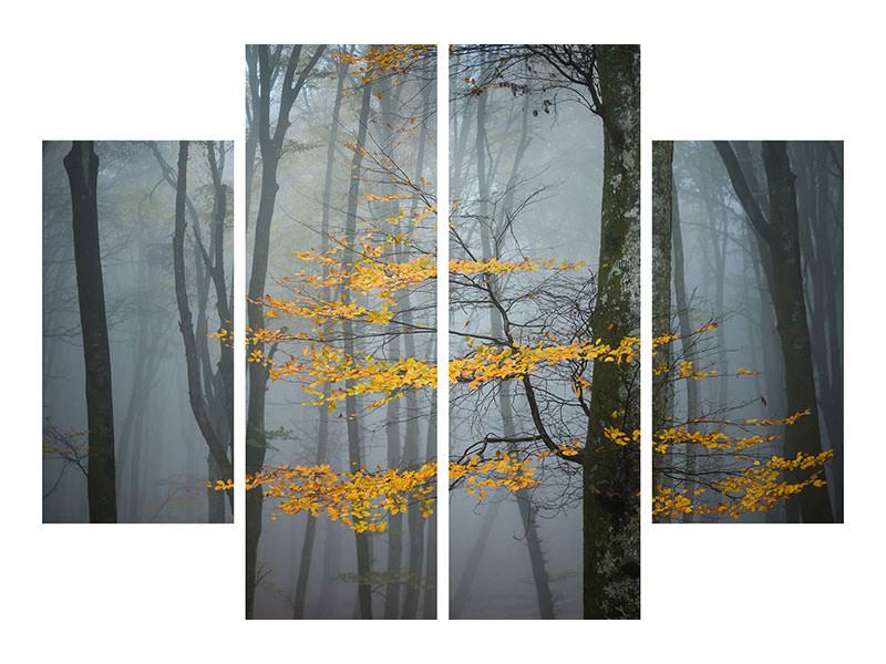 4-piece-canvas-print-beech-forest-in-autumn