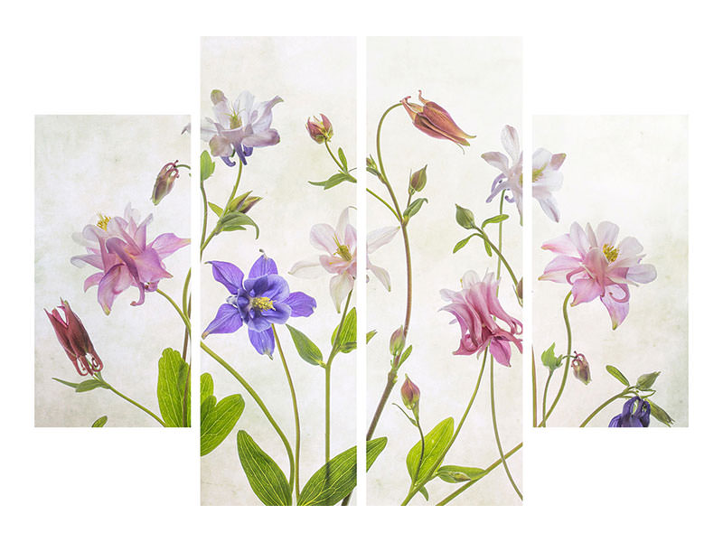 4-piece-canvas-print-columbine