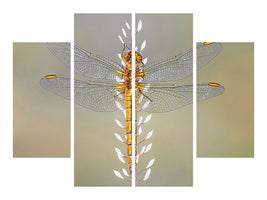 4-piece-canvas-print-dragonfly