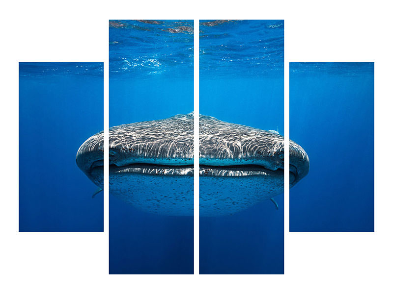 4-piece-canvas-print-face-to-face-with-a-whale-shark