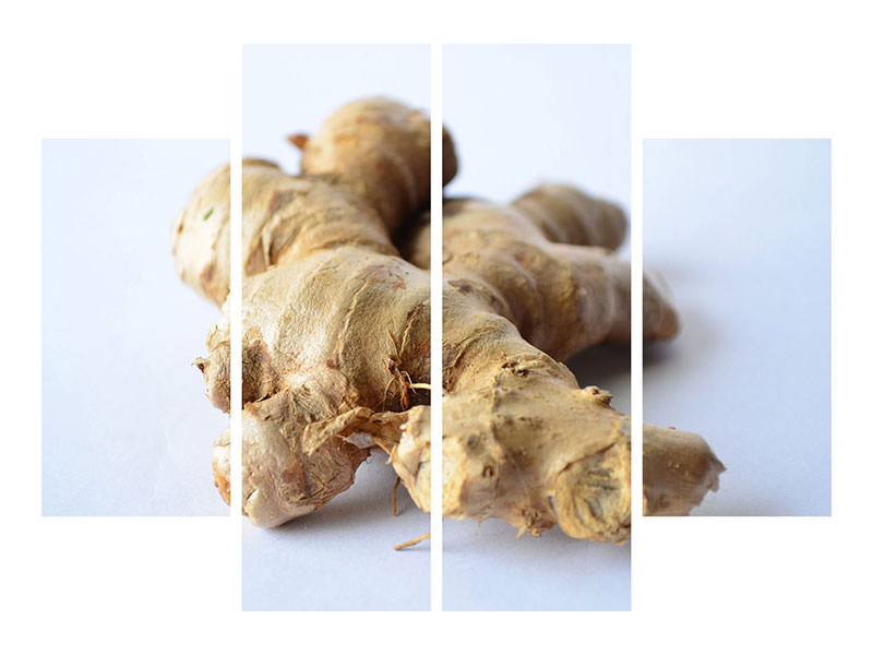 4-piece-canvas-print-fresh-ginger-tuber