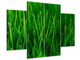 4-piece-canvas-print-grass-with-morning-dew