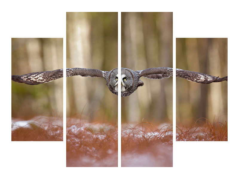 4-piece-canvas-print-great-grey-owl