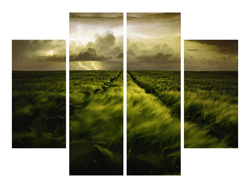 4-piece-canvas-print-journey-to-the-fierce-storm