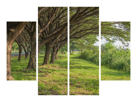4-piece-canvas-print-mature-trees
