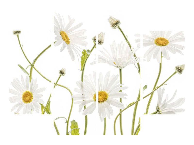 4-piece-canvas-print-ox-eye-daisies