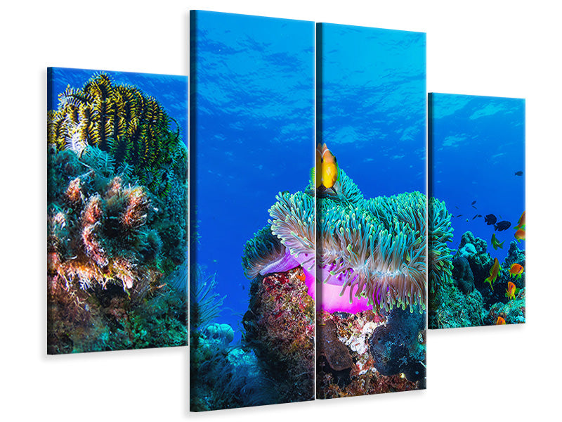 4-piece-canvas-print-sea-life