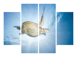 4-piece-canvas-print-sea-turtle-green-turtle