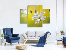 4-piece-canvas-print-stitchwort-ii