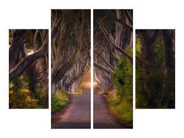 4-piece-canvas-print-the-glowing-hedges