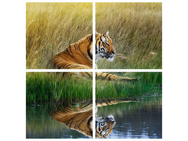 4-piece-canvas-print-the-tiger