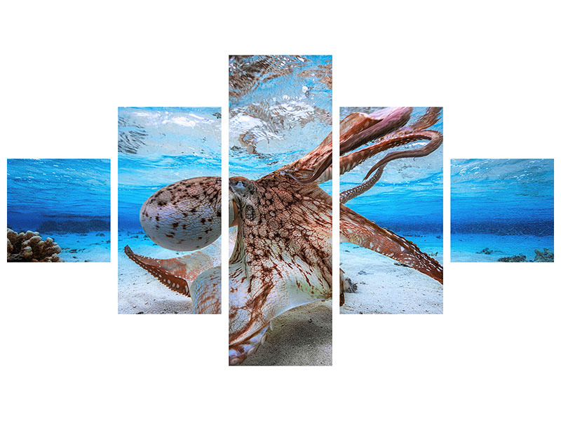 5-piece-canvas-print-dancing-octopus