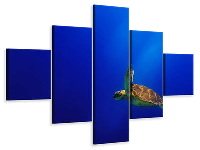 5-piece-canvas-print-flying