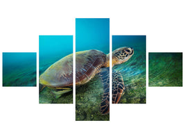 5-piece-canvas-print-green-turtle