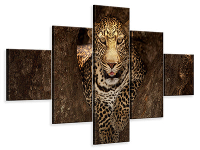 5-piece-canvas-print-leopard-resting-on-a-tree-at-masai-mara