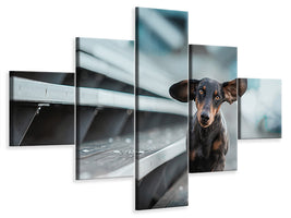 5-piece-canvas-print-little-dog