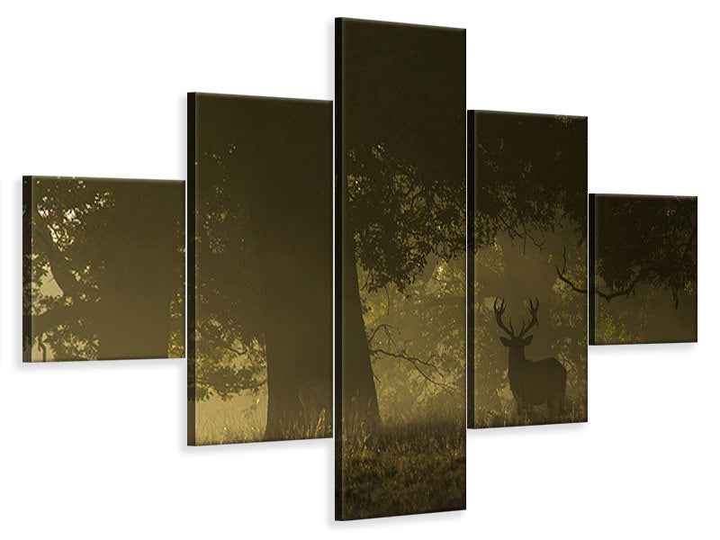 5-piece-canvas-print-magical-sunrise