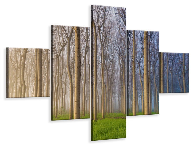 5-piece-canvas-print-morning-of-the-forest