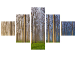5-piece-canvas-print-morning-of-the-forest