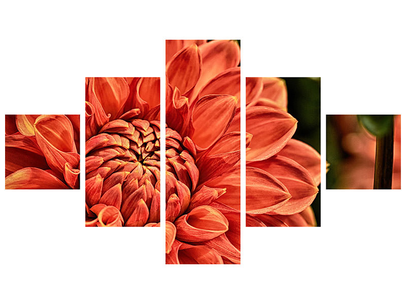 5-piece-canvas-print-painting-of-a-dahlia