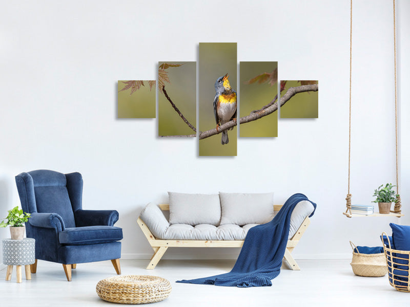 5-piece-canvas-print-parula-on-stage