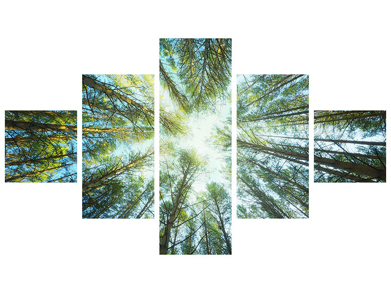 5-piece-canvas-print-pine-forest