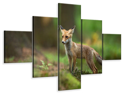 5-piece-canvas-print-red-fox