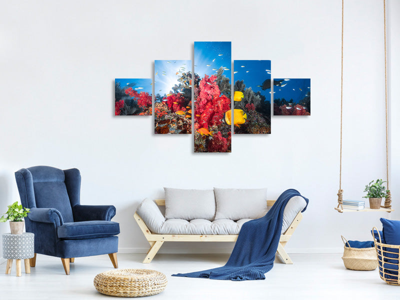 5-piece-canvas-print-reef-life