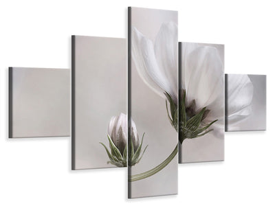 5-piece-canvas-print-simply-cosmos