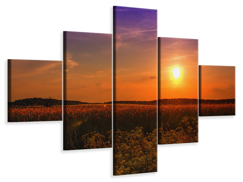 5-piece-canvas-print-sunset-at-the-flower-field