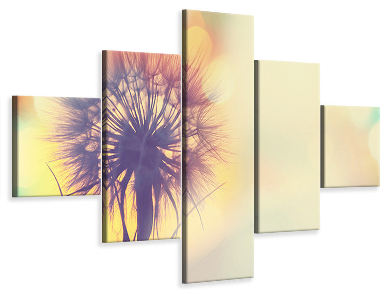 5-piece-canvas-print-the-dandelion-in-the-light