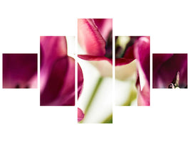 5-piece-canvas-print-tulip-iv