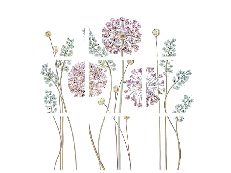 9-piece-canvas-print-allium-a