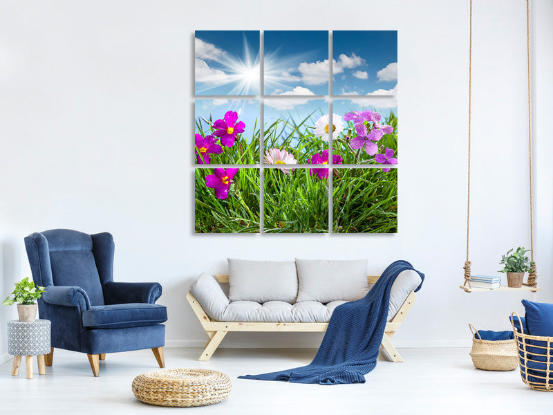 9-piece-canvas-print-flowering-meadow