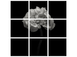 9-piece-canvas-print-poppy-a