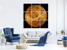 9-piece-canvas-print-the-venus