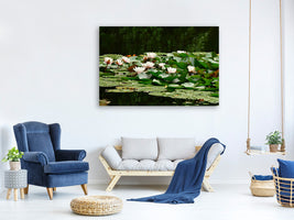 canvas-print-a-field-full-of-water-lilies