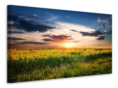 canvas-print-a-field-of-sunflowers