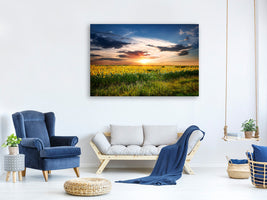 canvas-print-a-field-of-sunflowers