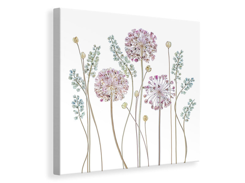 canvas-print-allium-a