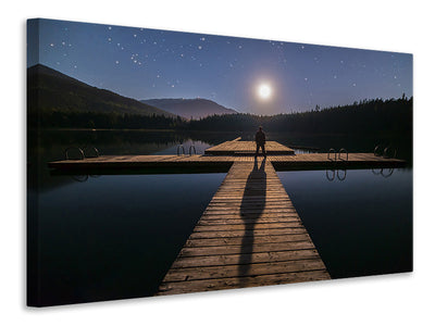 canvas-print-alone-at-full-moon