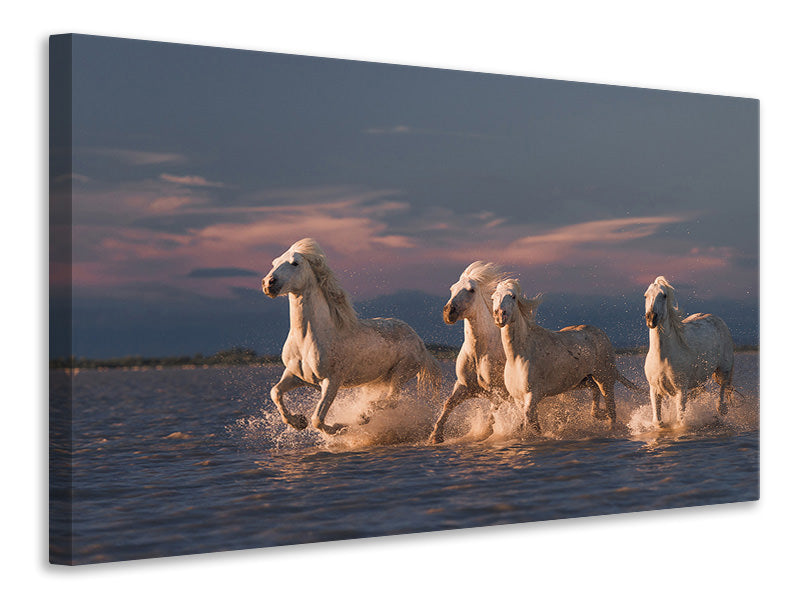 canvas-print-angels-of-camargue