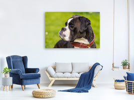 canvas-print-attentive-boxer