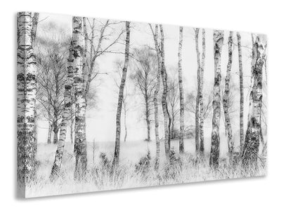 canvas-print-black-and-white